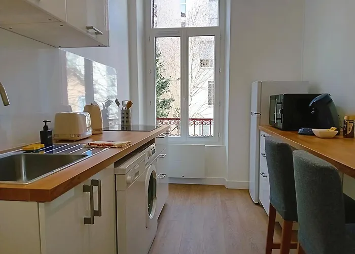 101 - Renove Avec 1 Spacieuse - Tram Et Clinique Mutualiste A 1 Min * Grenoble