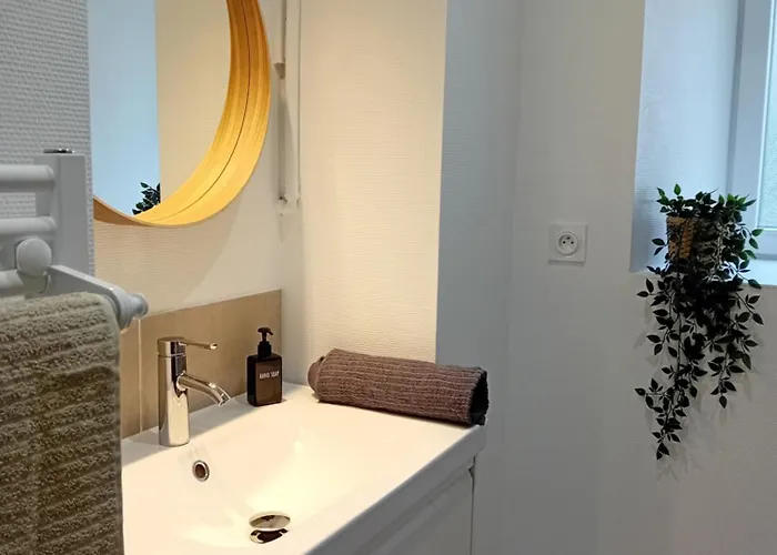 101 - Renove Avec 1 Spacieuse - Tram Et Clinique Mutualiste A 1 Min *