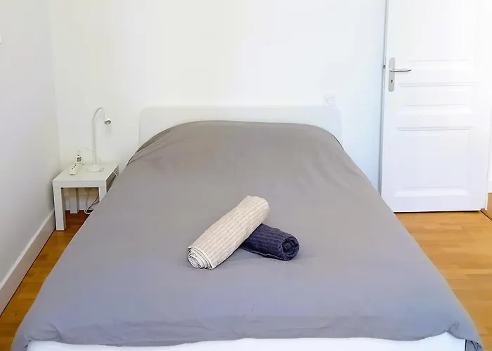 Apartman 101 - Renove Avec 1 Spacieuse - Tram Et Clinique Mutualiste A 1 Min *