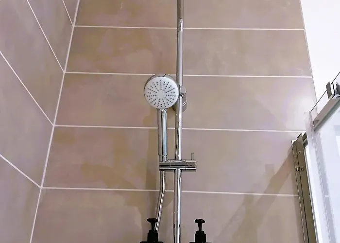 101 - Renove Avec 1 Spacieuse - Tram Et Clinique Mutualiste A 1 Min